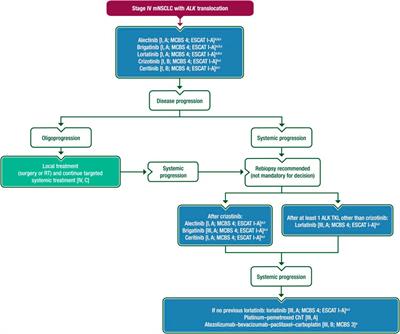 Targeted therapeutic options in early and metastatic NSCLC-overview
